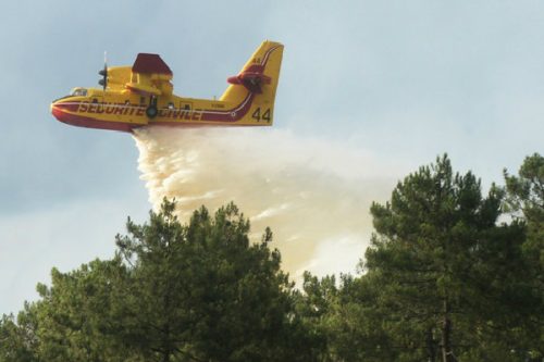 4 máy bay thả nước được huy động chứa cháy (Ảnh: AFP)