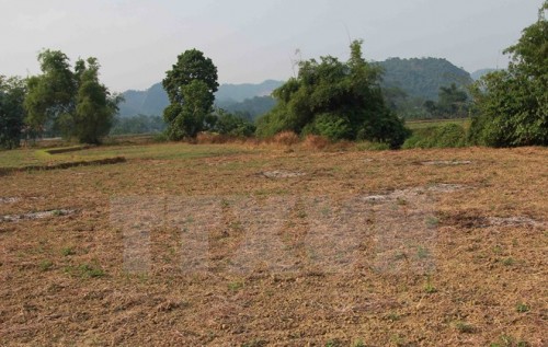 Hàng nghìn hécta đất nông nghiệp ở Hà Giang bị bỏ hoang vì không đủ nước để canh tác. (Ảnh: Đỗ Bình/TTXVN)