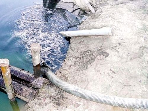 Ảnh minh họa: TTXVN