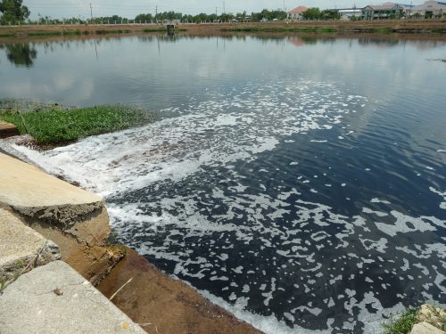 Nguồn nước bị ô nhiễm (Ảnh minh họa: ThienNhien.Net)