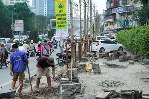 Hàng trăm cây xanh đủ loại như xà cừ, hoa sữa trên phố Nguyễn Chí Thanh từng bị chặt hạ để thay thế bằng giống cây khác. (Ảnh: Minh Sơn/Vietnam+)