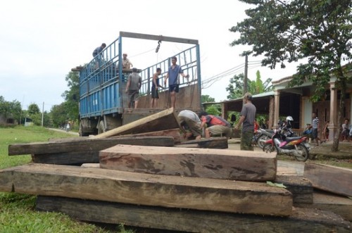  Số lượng gỗ lậu thu giữ được tại hiện trường (Ảnh: Hiến Tùng/nld.com.vn)