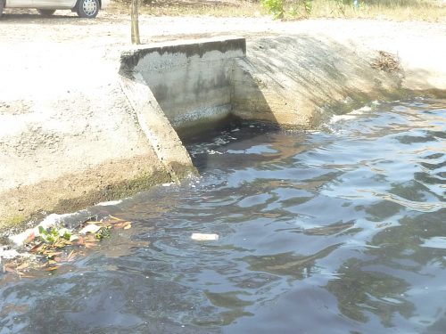 Ảnh minh họa: ThienNhien.Net