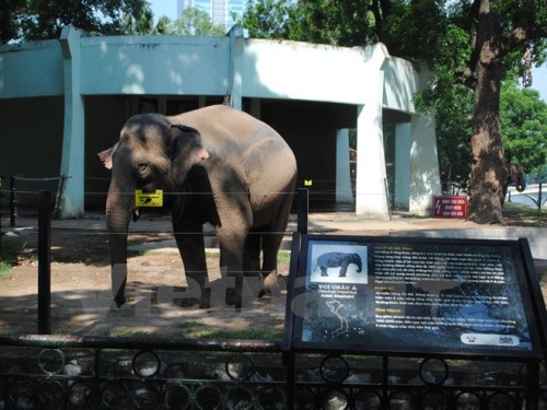 (Ảnh: Hùng Võ/Vietnam+)