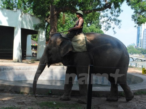 (Ảnh: Hùng Võ/Vietnam+)