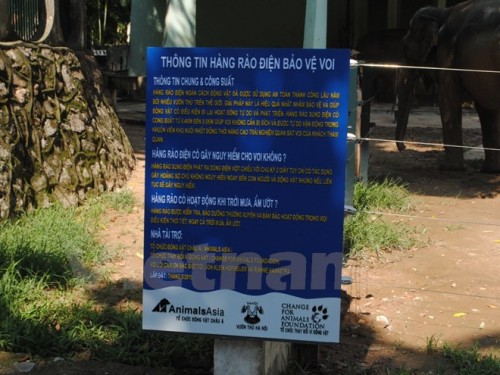 (Ảnh: Hùng Võ/Vietnam+)