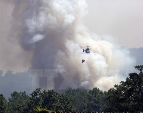 Máy bay chữa cháy tham gia dập đám cháy rừng gần làng Hoyos, Tây Ban Nha (Nguồn: AFP/TTXVN)