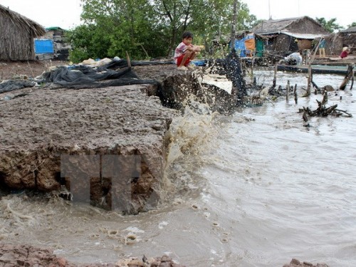 Đê biển tại thị trấn Sông Đốc (huyện Trần Văn Thời) ven bờ biển Tây bị sạt lở nghiêm trọng (Ảnh: Huỳnh Thế Anh/TTXVN)