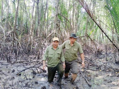 Cán bộ Công ty Lâm nghiệp Ngọc Hiển bám sát từng diện tích rừng do mình quản lý (Ảnh: H.H/Dân Việt)