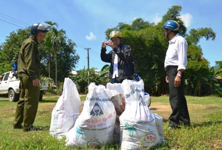 Đem quặng vàng người dân tự nguyện giao nộp đi tiêu hủy