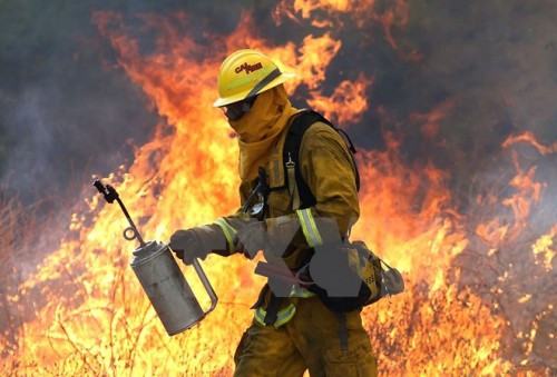 Lính cứu hỏa làm nhiệm vụ tại hiện trường vụ cháy gần Clearlake, California (Nguồn: AFP/TTXVN)