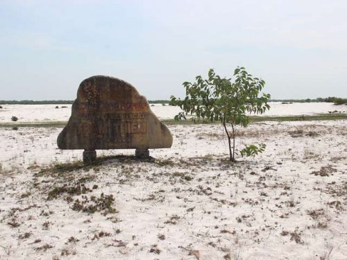 150ha đất cát ở xã Phong Chương cấp cho Công ty Bảo Toàn A đã bị doanh nghiệp này bỏ hoang 10 năm, trong khi người dân địa phương “khát” đất sản xuất (Ảnh: An Sơn)