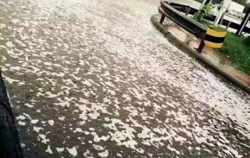 Đường phố nổi bọt trắng sau cơn mưa (Ảnh: NetEase)