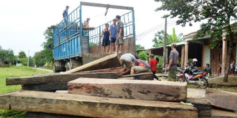 Hơn 7,3m3 gỗ chò, ví, chua trái phép được lực lượng chức năng tỉnh Quảng Nam bắt giữ cuối tháng 7