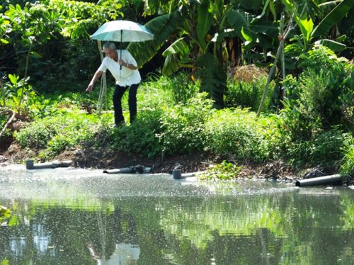 Ngoài bãi xử lý chất thải rắn, người dân nơi đây còn phải sống chung với khu hồ chứa nước thải của toàn thị xã Sầm Sơn