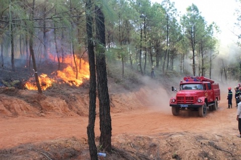 Xe cứu hỏa được điều động để khống chế ngọn lửa 