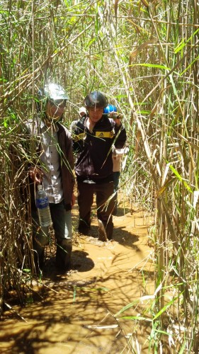 Lội qua những vũng bùn sình lầy, đầy cỏ dại. 