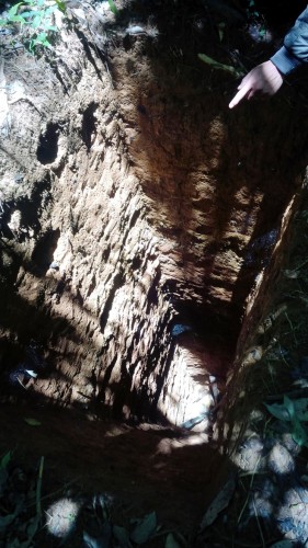 Tại những hầm vàng cũ sâu 25m, người dẫn đường cho biết: "Rớt xuống là hết lên, không gãy tay chân thì gãy cổ". 
