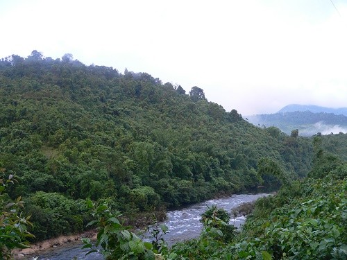 Ảnh minh hoạ: ThienNhien.Net