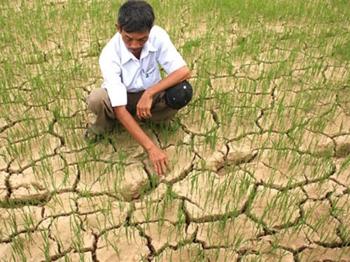 Tình trạng khô hạn, thiếu nước sản xuất tại miền Trung dự báo sẽ nghiêm trọng hơn mọi năm