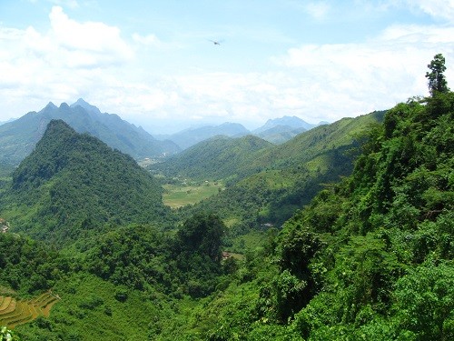 Ảnh minh họa: Tin Môi Trường