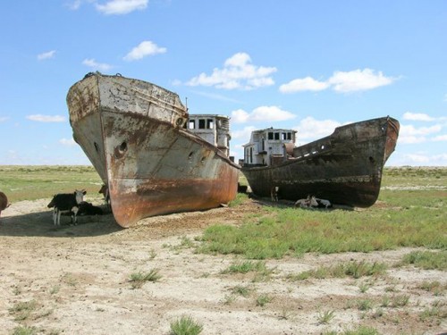 Biển Aral nay chỉ rộng khoảng 10% so với kích thước ban đầu. Đây là “một trong những thảm họa môi trường tồi tệ nhất của hành tinh” do con người gây ra.