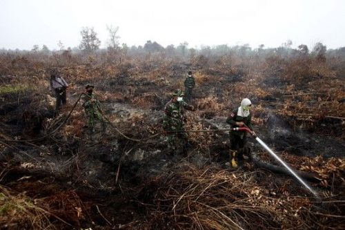 Nhân viên cứu hỏa, binh sĩ dập lửa tại tỉnh Riau hôm 9/9 (Ảnh: Reuters)