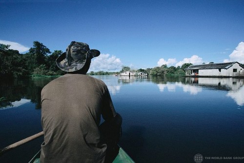 Một ngư dân trên sông Amazon gần Brazil (Ảnh: Julio Pantoja / World Bank)