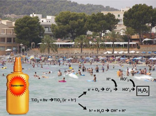 Ảnh: theconservation.com