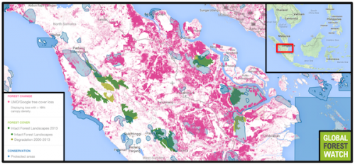 Khoảng 7 triệu hec ta cây rừng Sumatra bị đốn hạ để nhường chỗ cho cây trồng. Dữ liệu tổng hợp từ năm 2001-2012 (Ảnh: Mongabay.com)