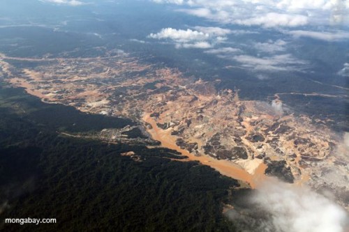 Khai thác vàng ở Peruvian Amazon (Ảnh: Mongabay.com)