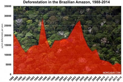 Nạn phá rừng tại Amazon Braxin đang giảm dần từ năm 2004 (Ảnh: Mongabay.com)