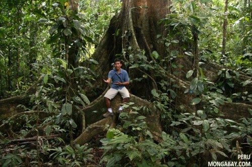 Các cộng đồng bản xứ tại Amazon đã chăm nom cho rừng và đa dạng sinh học rừng qua nhiều thế hệ (Ảnh: Mongabay.com)