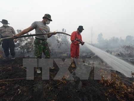 Nhân viên cứu hỏa nỗ lực khống chế các đám cháy rừng ở Rimbo Panjang, tỉnh Riau ngày 15/9. (Nguồn: AFP/TTXVN)
