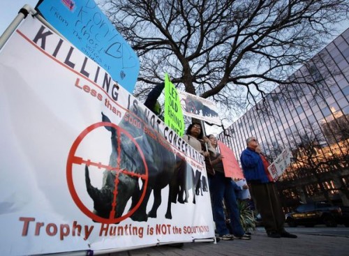 Biểu tình phản đối săn tê giác tại CLB Dallas Safari, Texas (Ảnh: Tony Guitierrez, AP)