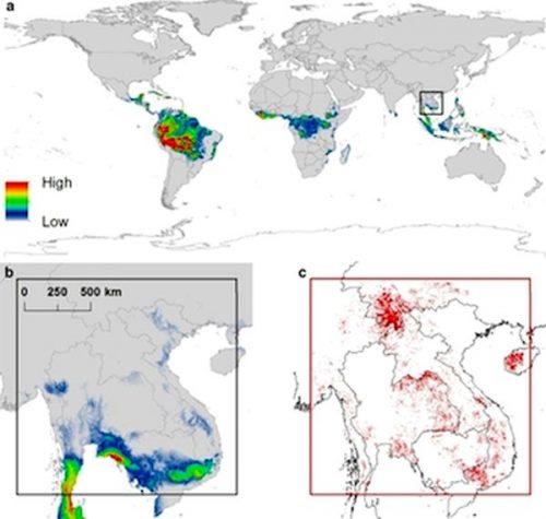 Phân bố khu vực có môi trường thích hợp cho cao su: a. Trên thế giới, b. Tại Đông Nam Á, c. Vị trí các vùng trồng cao su trong khu vực nghiên cứu năm 2010 (Nguồn: Ahrends và cộng sự – 2015)