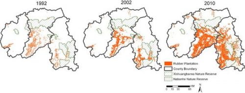 Sơ đồ diện tích trồng cao su tạiTây Song Bản Nạptừ 1992 đến 2010 (Nguồn: Xu, Grumbine và Beckschäfer, 2014)