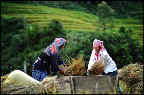 (Ảnh: VGP/Xuân Đại)