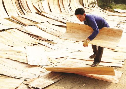 Xuất khẩu gỗ của Việt Nam sang Trung Quốc thường xuyên xuất siêu nhưng thiếu bền vững (Ảnh: Trần Việt)