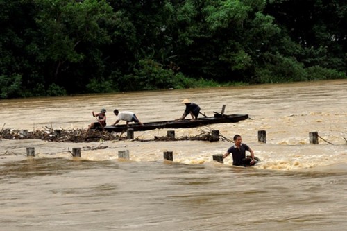 Người dân ra sông vớt củi