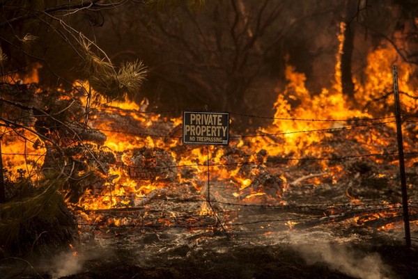 Vụ cháy rừng ở phía Bắc bang California đã thiêu rụi khoảng 1.200 căn nhà và cướp đi sinh mạng của ít nhất 3 người (Ảnh: Reuters)