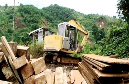 Gỗ lâm tặc tàn phá rừng bị phát hiện ở Trà Ka, huyện Bắc Trà My, Quảng Nam