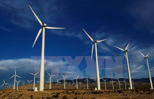 Các tuốcbin gió tại nhà máy phong điện ở Palm Springs, bang California. (Ảnh: THX/TTXVN)