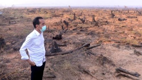 Tổng thống Widodo tới hiện trường các vụ cháy rừng