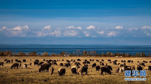 Đây là khung cảnh mùa Thu của hồ Issyk Kul, phía Đông Kyrgyzstan vào ngày 26/10/2012. Hồ này có diện tích hơn 6.000m2, sâu tới 702m, là hồ trên núi lớn thứ hai trên thế giới. Hồ Issyk Kul là địa chỉ nghĩ dưỡng nổi tiếng của khu vực Trung Á, mỗi năm thu hút khoảng 2 triệu lượt khách tham quan (Nguồn: Xinhuanet)