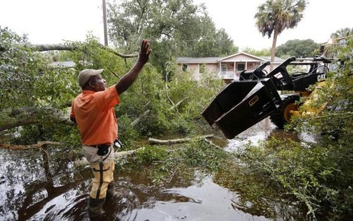 Nhiều cây lớn đã bị đổ bởi mưa lớn, cản trở giao thông ở Isle of Palms, Nam Carolina. (ảnh: AP).