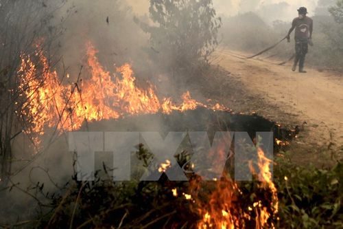 Binh sỹ Indonesia tham gia dập các đám cháy từng tại Ogan Ilir, tỉnh Nam Sumatra ngày 30/9 (Ảnh: Reuters/TTXVN)