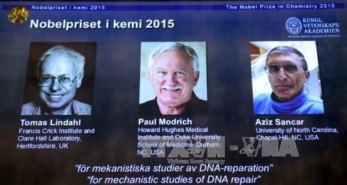 Chân dung ba nhà khoa học đoạt Giải Nobel Hóa học 2015 (phía trên, từ trái sang): Tomas Lindahl (Thụy Điển), Paul Modrich (Mỹ) và Aziz Sancar (Mỹ gốc Thổ Nhĩ Kỳ) được công bố tại cuộc họp báo của Viện Hàn lâm khoa học Hoàng gia Thụy Điển ở Stockholm ngày 7/10 (Ảnh: AFP/ TTXVN)
