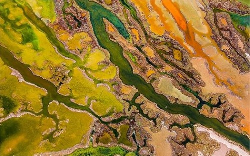 Bức ảnh tảo nở hoa được chụp từ không trung đã mang về giải thưởng Nhiếp ảnh gia bầu trời cho Edwin Giesbers