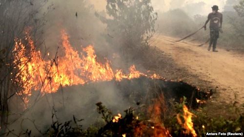 Cháy rừng ở Indonesia (Nguồn: Reuters)